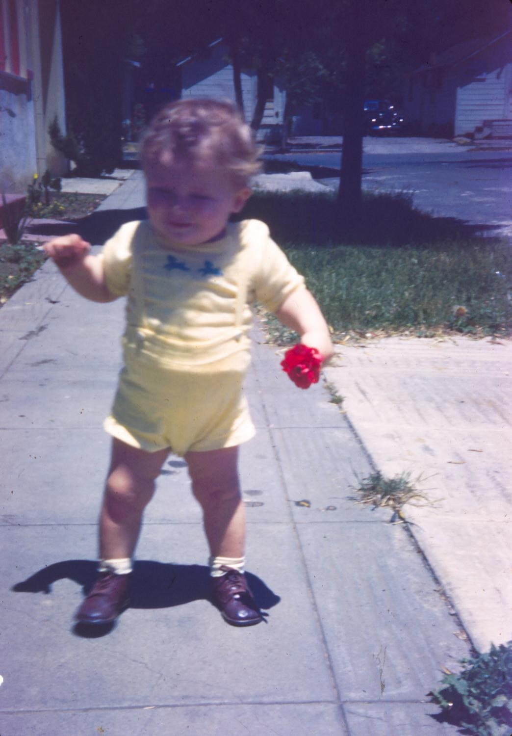 A toddler in a yellow romper on a sunny sidewalk, holding a red flower in one fist